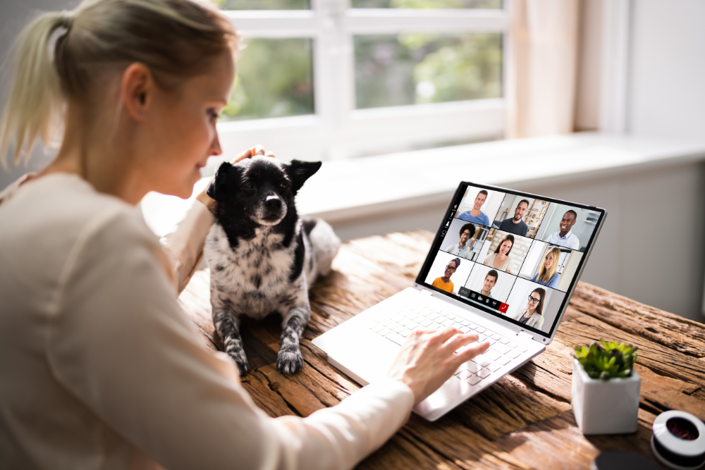 Kobieta głaszcze psa i pracuje przy laptopie, uczestnicząc w spotkaniu online. Na ekranie widoczne osoby w wideorozmowie. Scena symbolizuje udział pracowników EY Polska w webinarze o niepełnosprawności.